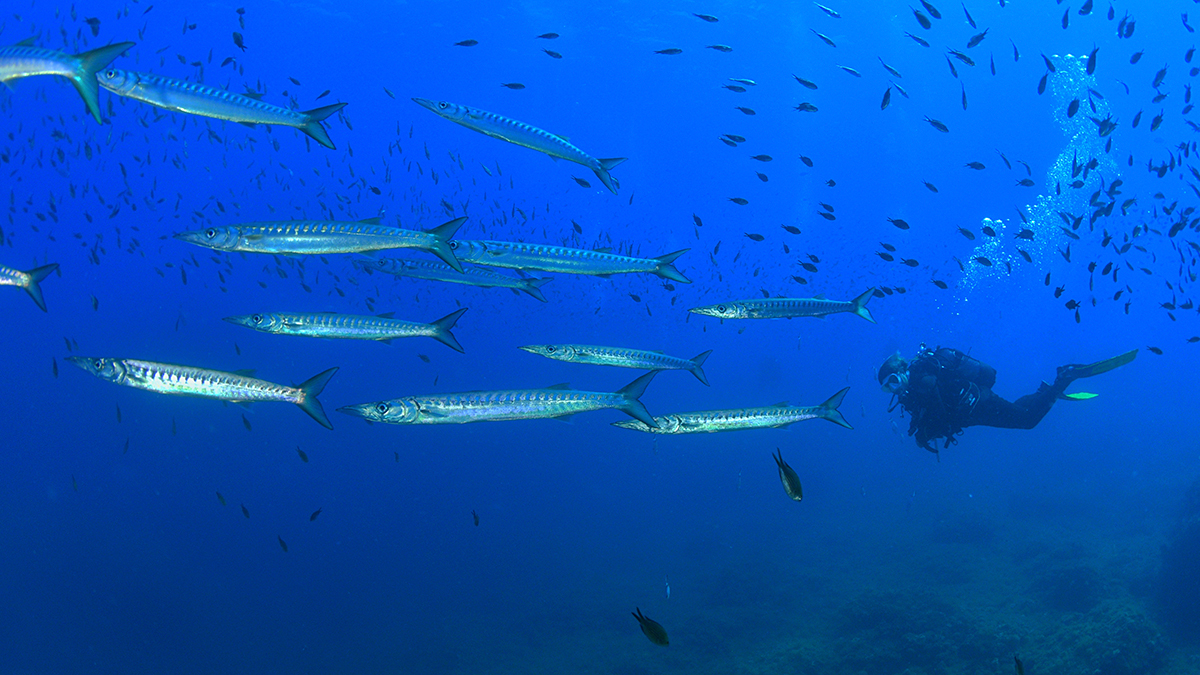 val regal – pack 2 imm tot inclos