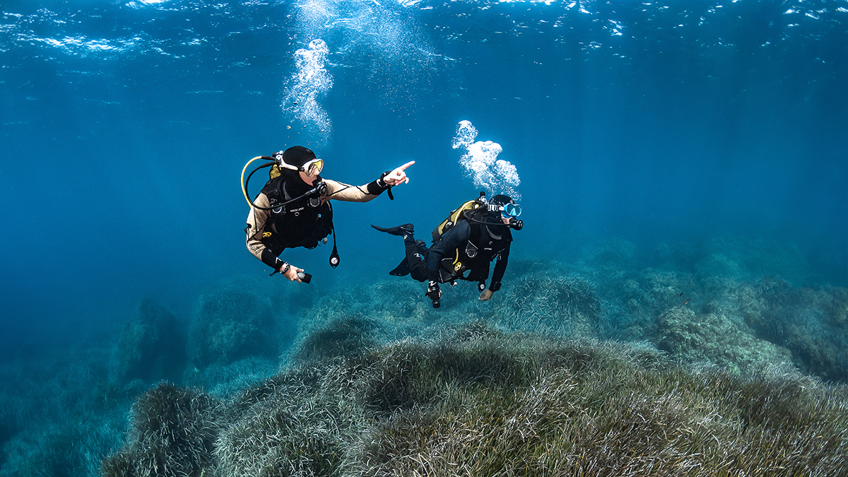 val regal – 1 imm guiada