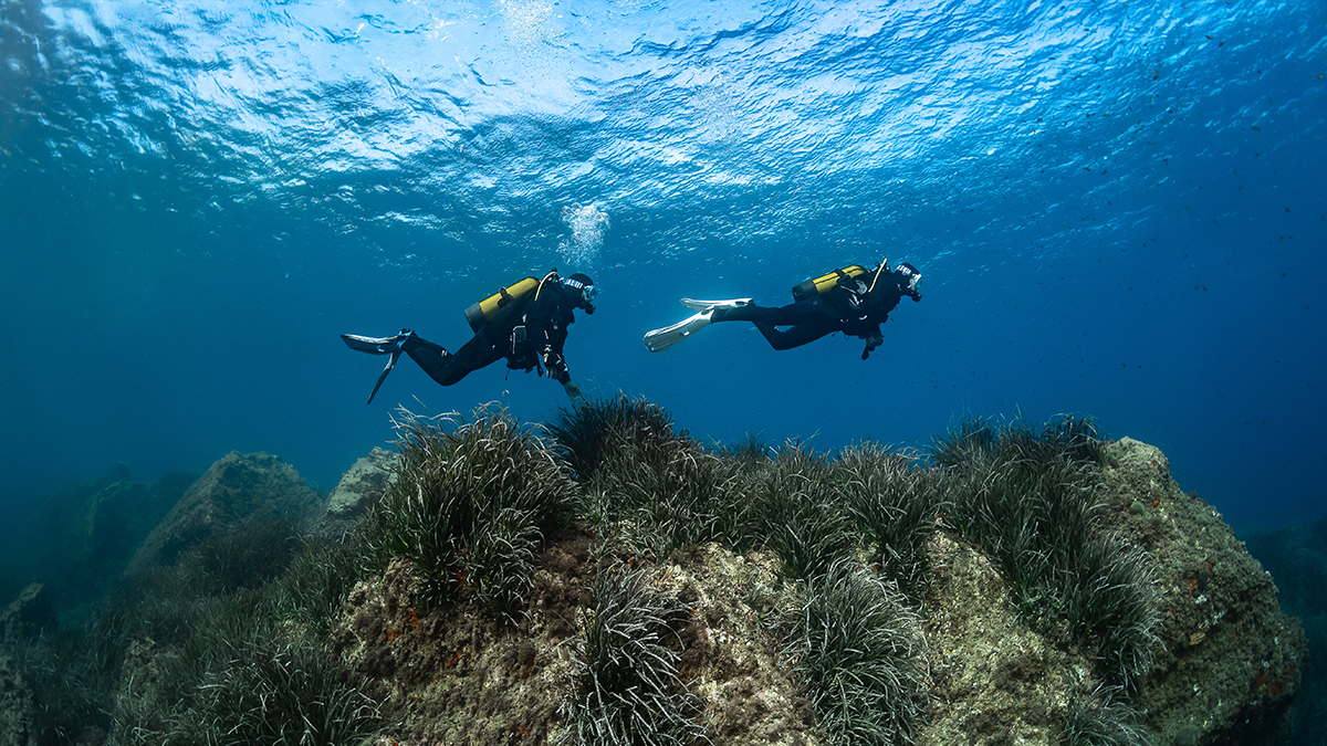 val regal – check dive