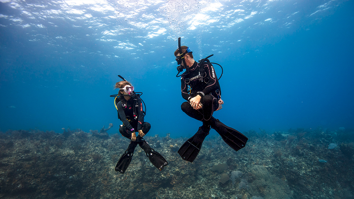 val regal – curs padi owd